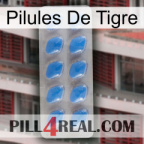 Tiger Pills 22